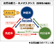 自然治癒力のバランス表